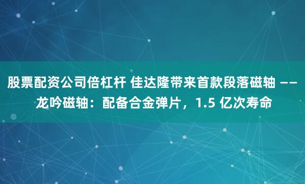 股票配资公司倍杠杆 佳达隆带来首款段落磁轴 —— 龙吟磁轴：配备合金弹片，1.5 亿次寿命