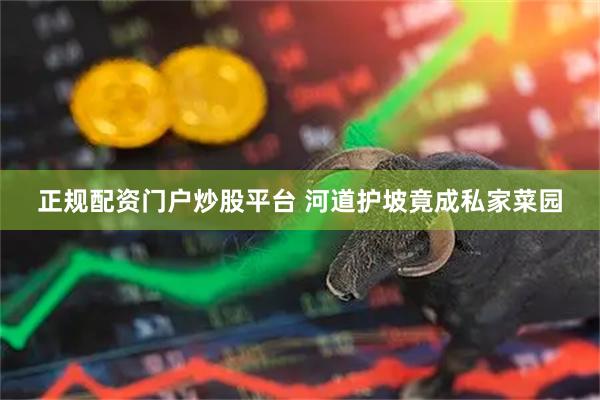 正规配资门户炒股平台 河道护坡竟成私家菜园