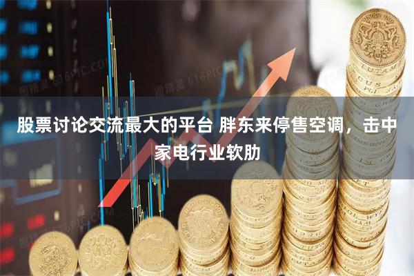 股票讨论交流最大的平台 胖东来停售空调，击中家电行业软肋